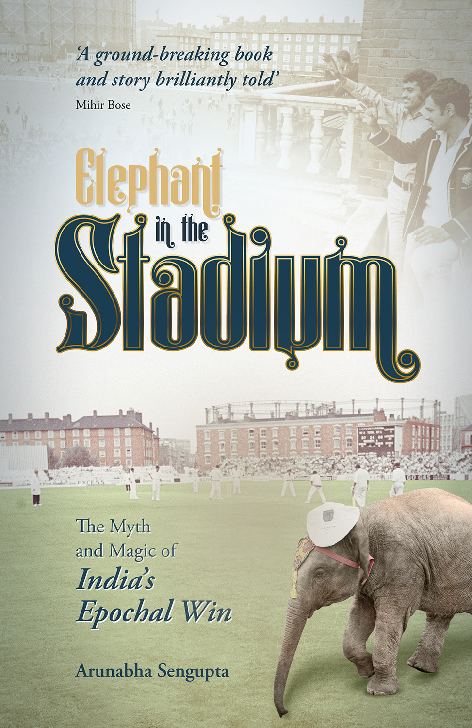 Elephant in the Stadium